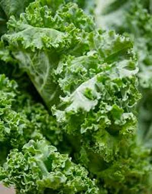 Kale for Eyesight